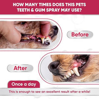 Dental Spray for Pets – Cat & Dog Breath Freshener That Helps with Tartar, Plaque, & Bad Odor – Silver 50 PPM + Valerian Flavour for Dog Teeth Cleaning – 4 Oz