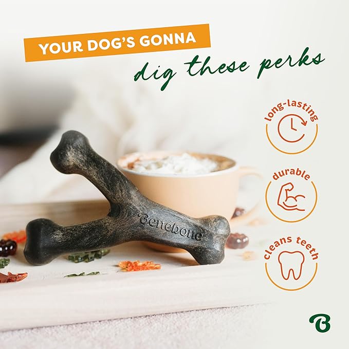 Benebone Pumpkin Spice Wishbone – Limited Edition Flavor, Durable Dog Chew Toy for Aggressive Chewers, Made in USA, Large