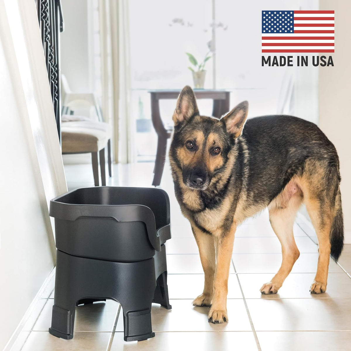 Neater Feeder Deluxe Mess-Proof Elevated Dog Bowls for Large Dogs - Large + Standard Bowl / Midnight Black - image 2