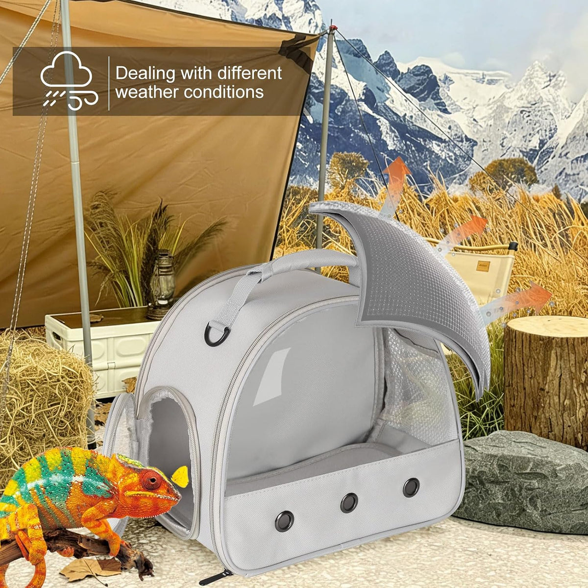 Bearded Dragon Travel Carrier, Lizards Carrier - Grey / Carrier - image 3