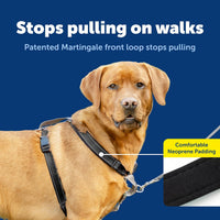 PetSafe 3 in 1 No-Pull Dog Harness, Walk, Train or Travel - Black / Large (Pack of 1) - image 3
