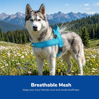 Didog No Pull Dog Harness for Large Dogs, Breathable Mesh Padded - Blue / M: Chest 21-27", Fit 28-50 lbs - image 2