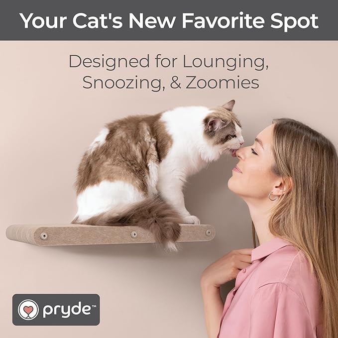Wall Mounted Cat Perch Long Shelf by Pryde Pets - Floating Hammock Bed, 100% Sustainable PET Felt Feline Enrichment Climber Furniture for Indoor Cats, Modern Climbing Gym Jungle Design (Oatmeal)