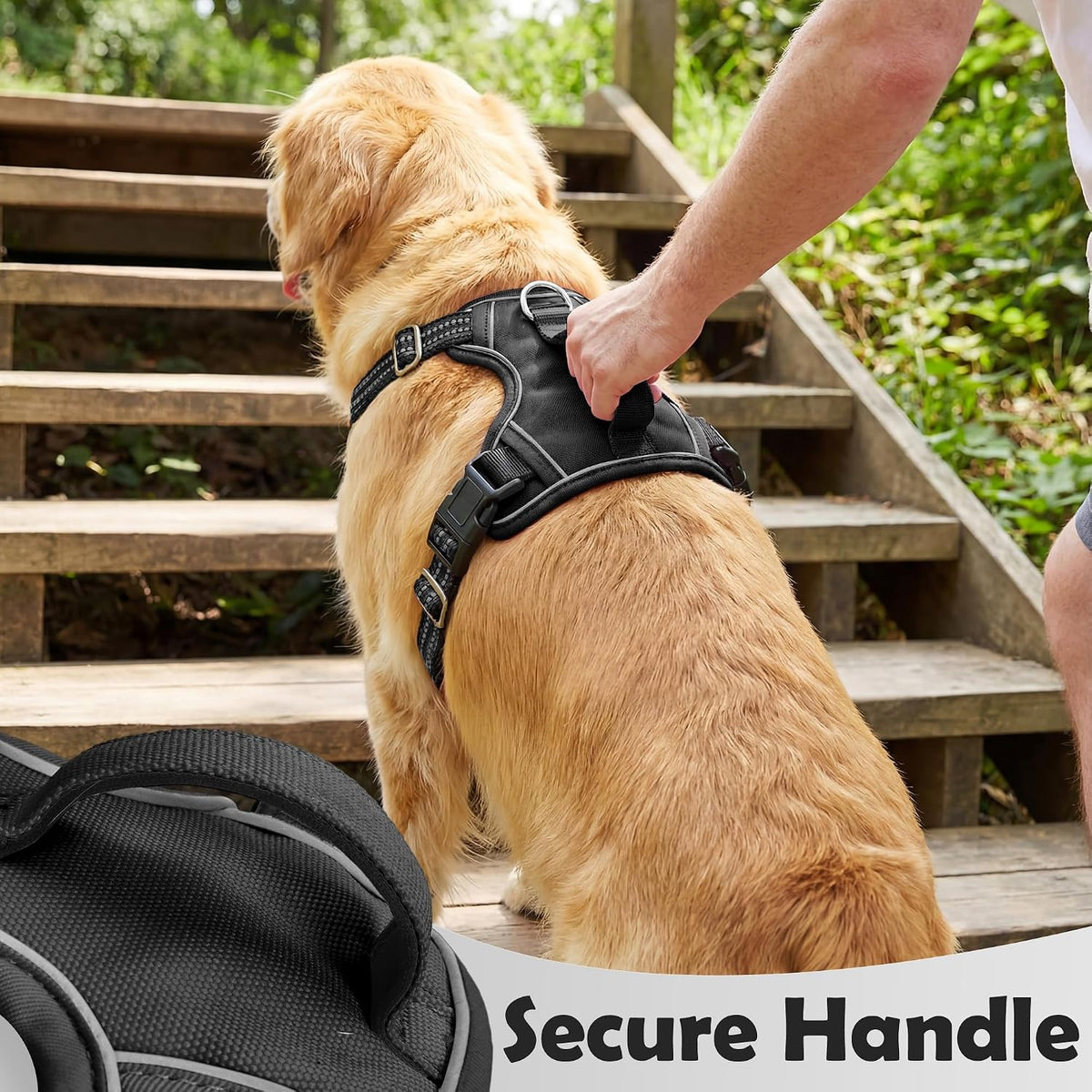 Funfox Dog Harness Medium Sized Dog - Black / Large - image 4
