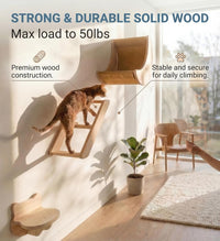 Cat Wall Shelves Set, Solid Wood Moon Bed - moon bed with 3-levels ladder - image 3