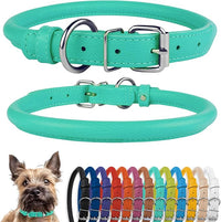 CollarDirect Rolled Leather Dog Collar, Soft Padded Round Puppy Collar, Handmade Genuine Leather Collar Dog Small Large Cat Collars 13 Colors (8-11 Inch, Mint Green Textured)