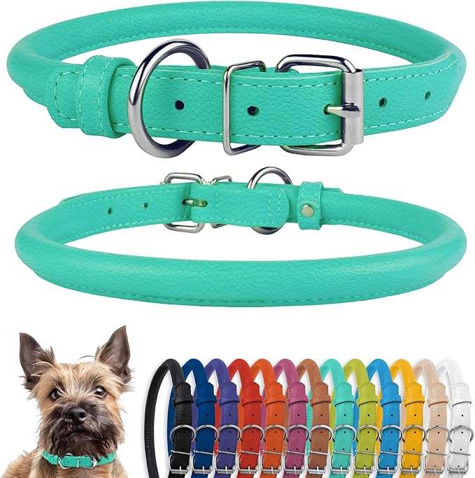 CollarDirect Rolled Leather Dog Collar, Soft Padded Round Puppy Collar, Handmade Genuine Leather Collar Dog Small Large Cat Collars 13 Colors (8-11 Inch, Mint Green Textured)