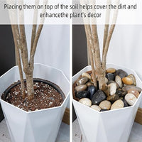 8LB 1"-2" Decorative River Rocks for Plants, Polished Pebbles for Garden Landscaping, Planters, Aquariums, Vase Fillers – Indoor & Outdoor Decor