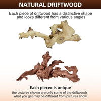 majoywoo Natural Driftwood for Aquarium Decor Fish Tank Decor Reptile - Mopani Driftwood 9 to 14 Inch (Pack of 2) - image 2