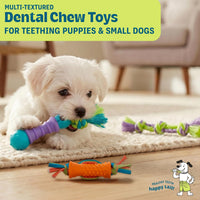 Cool Teething Stick Dental Dog Chew Toy, Soak & Freeze, 8.5" – Essentials for Dogs - Dental Chew - image 2