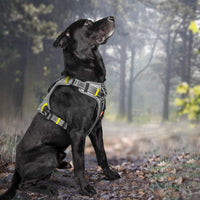 Fida Dog Harness, No-Pull Pet Vest with Saddle Bags Backpack - Large (Neck:18"-26";Chest:27"-34") / Black - image 4