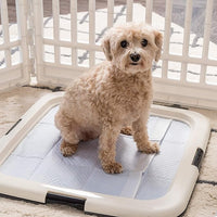 IRIS USA Pee Pad Holder - For Potty Training Regular Sized Dog & Puppy Pee Pads, Secured Latches, Non-Skid Feet, Leak Protection, Fits 22"x22" Pad or Larger, Square, Dark Gray