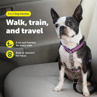 PetSafe 3 in 1 No-Pull Dog Harness, Walk, Train or Travel - Plum / Extra Small (Pack of 1) - image 2