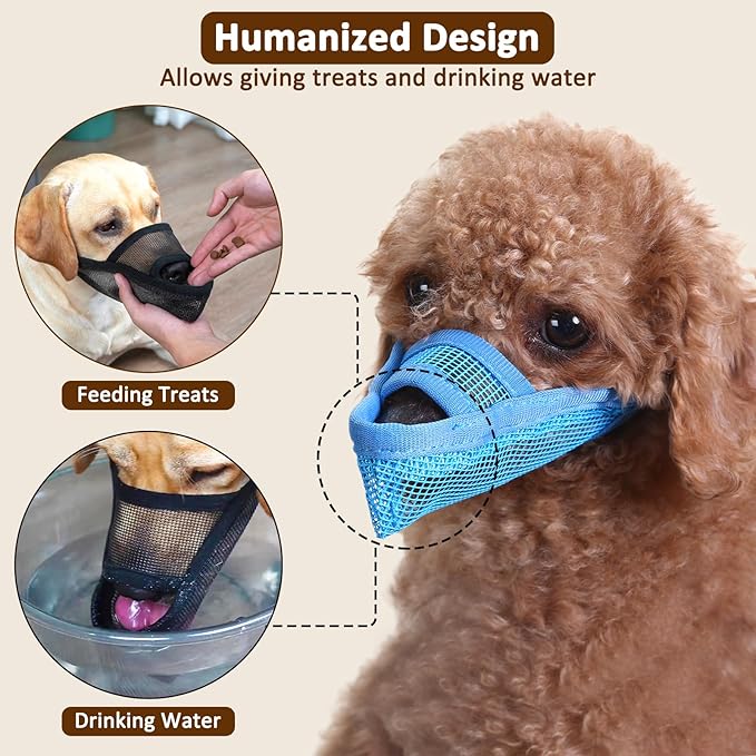 Crazy Felix Nylon Dog Muzzle for Small Medium Large Dogs Dachshund Beagle Poodle Labrador, Air Mesh Breathable and Drinkable Pet Mouth Guard for Anti-Biting Chewing Scavenging(S, Blue)