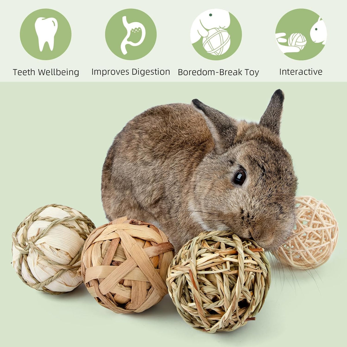 andwe Small Animals Play Activity Balls Rolling Chew Toys – Essentials for Small Pets - Pack of 9 - image 3
