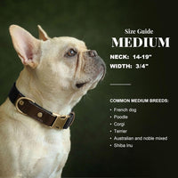 PU Leather Dog Collar for Small Dogs Puppy, Soft Lining, Green S – Essentials for Dogs - Black / M: Neck 14-19", Width ¾" - image 3