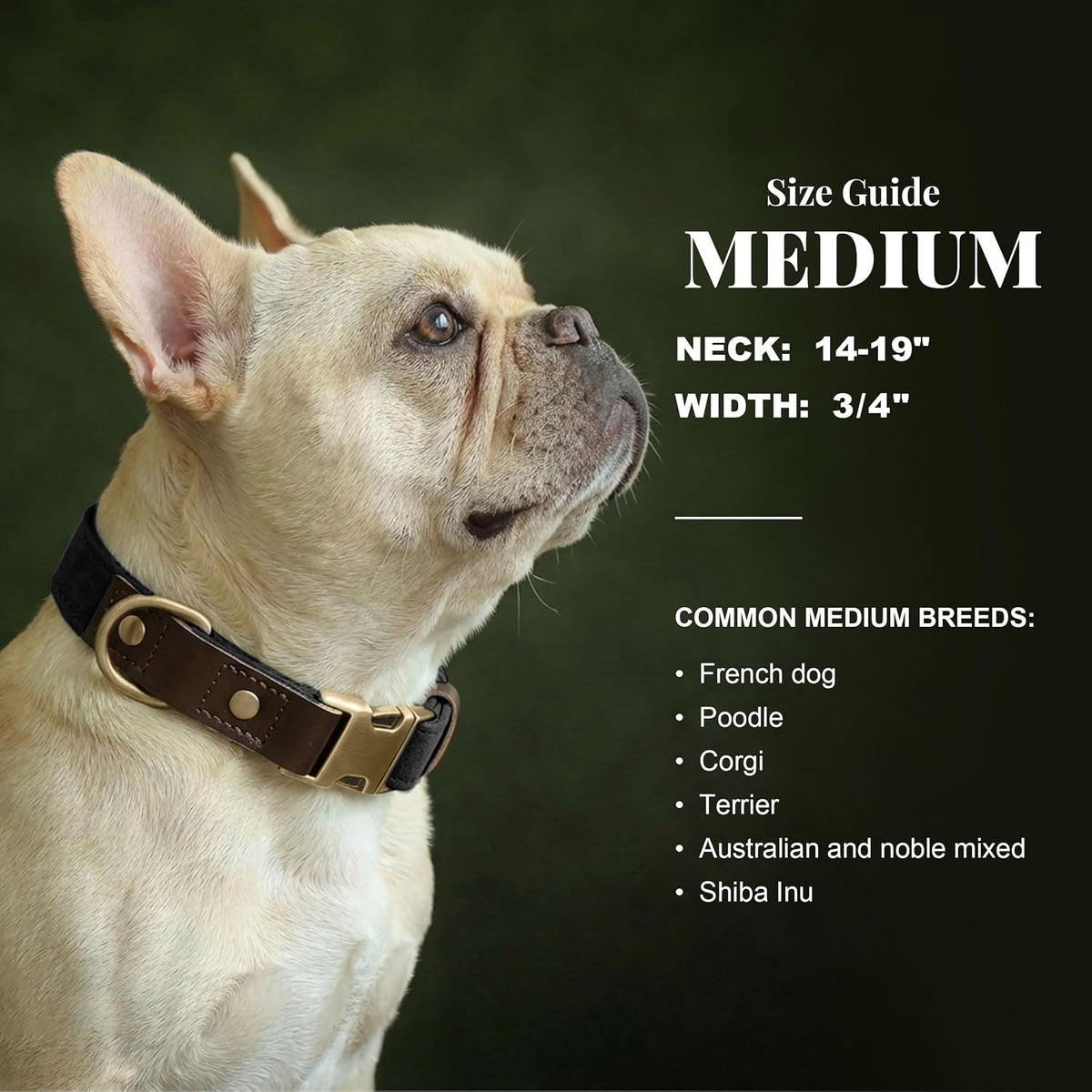 PU Leather Dog Collar for Small Dogs Puppy, Soft Lining, Green S – Essentials for Dogs - Black / M: Neck 14-19", Width ¾" - image 3