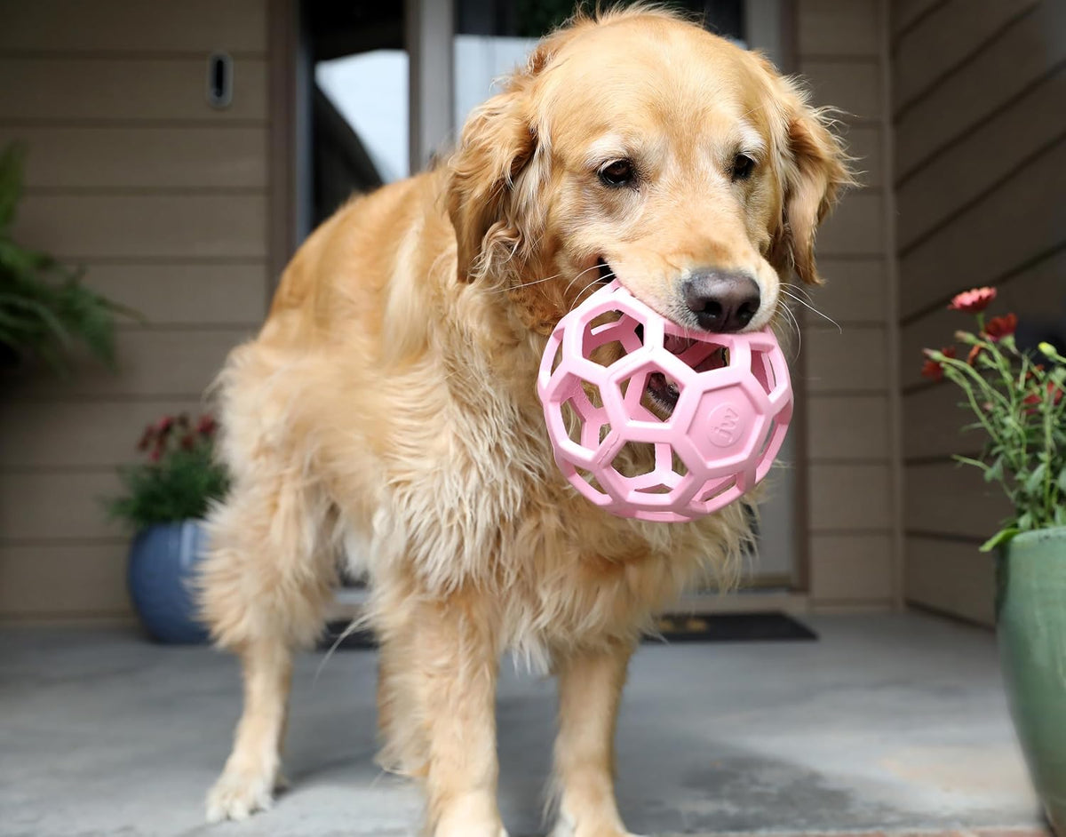 JW Pet HOL-ee Roller Dog Puzzle Ball, Large 5.5in - Pink / Large - image 3