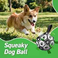 QDAN Dog Balls, Herding Balls for Dogs - Squeaky Green / Medium Size 2 (6 Inch) - image 4