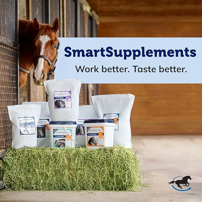 SmartEquine SmartCookies | Healthy Treats for Horses Made from Coconut Meal, Beet Pulp, Alfalfa, and Flaxseed Oil | No Sugar Added Horse Treats | Carrot Cake Flavor Cookies for Horses, 3 lb Bag