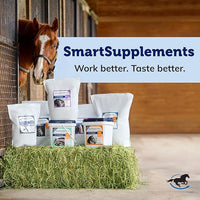 SmartEquine SmartCookies | Healthy Treats for Horses Made from Coconut Meal, Beet Pulp, Alfalfa, and Flaxseed Oil | No Sugar Added Horse Treats | Carrot Cake Flavor Cookies for Horses, 3 lb Bag