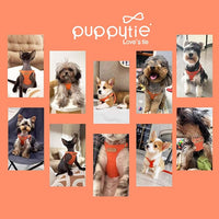 Puppytie No Pull Dog Harness with Multifunction Dog Leash,Soft Adjustable No Choke Escape Proof Pet Harness Vest for Medium Dogs or Large Dogs,Orange,M