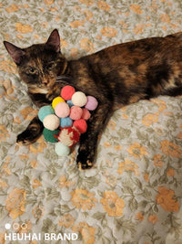 40 Pack Soft Fuzzy Play Balls Indoor Activity Toys for cats - Wild Play - image 3