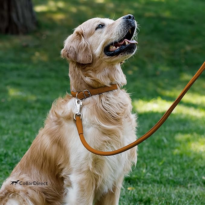 CollarDirect Rolled Leather Dog Collar, Soft Padded Round Puppy Collar, Handmade Genuine Leather Collar Dog Small Large Cat Collars 13 Colors (13-16 Inch, Cinnamon Textured)