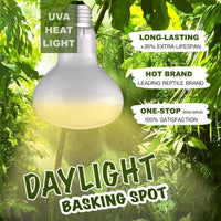 Reptile Heat Bulb Lamp, 2-Pack 100W Daylight Basking Spot, Bearded Dragon/Turtle/Lzard/Gecko Light - 2-PACK Daylight Basking Spot / 100W - image 2