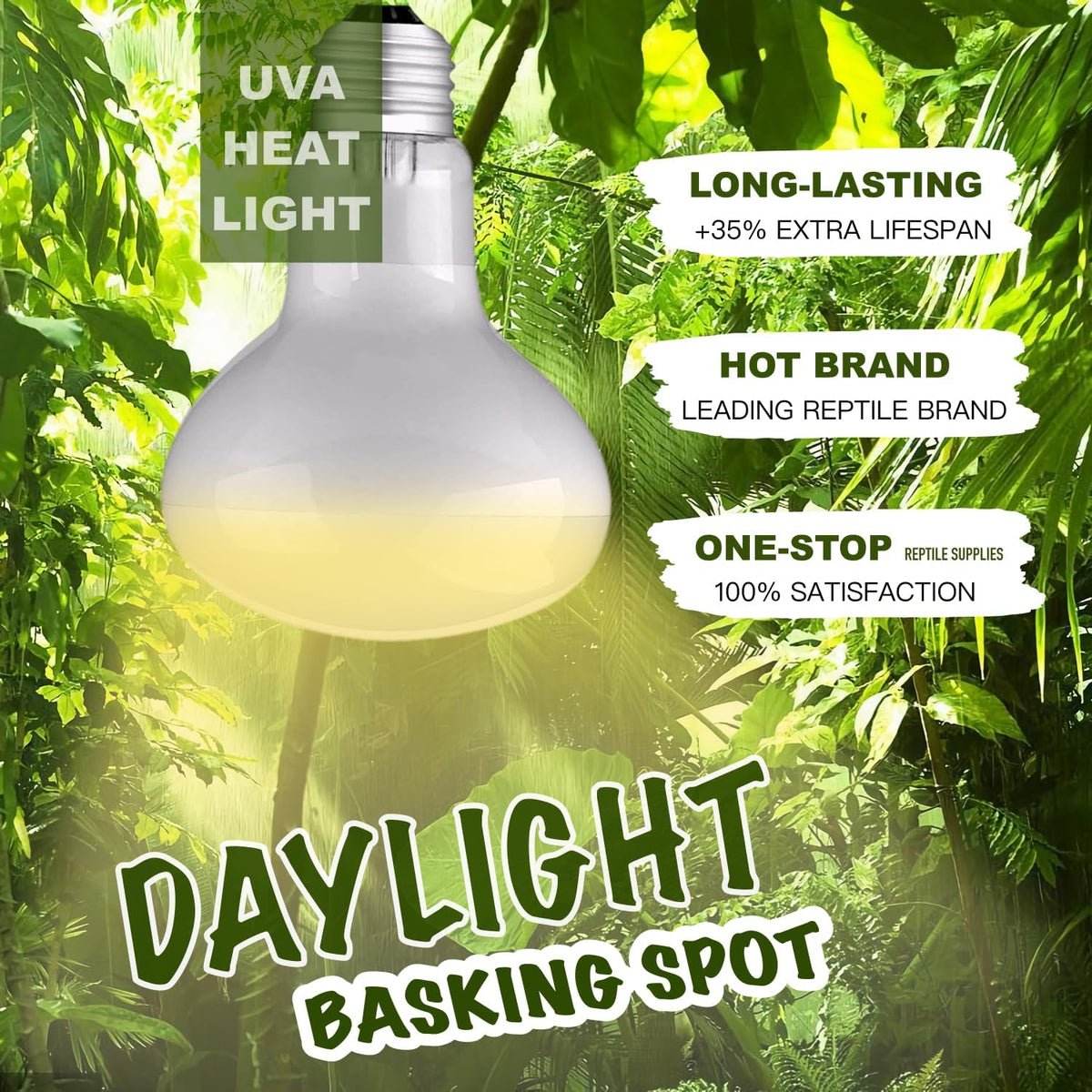 Reptile Heat Bulb Lamp, 2-Pack 100W Daylight Basking Spot, Bearded Dragon/Turtle/Lzard/Gecko Light - 2-PACK Daylight Basking Spot / 100W - image 2