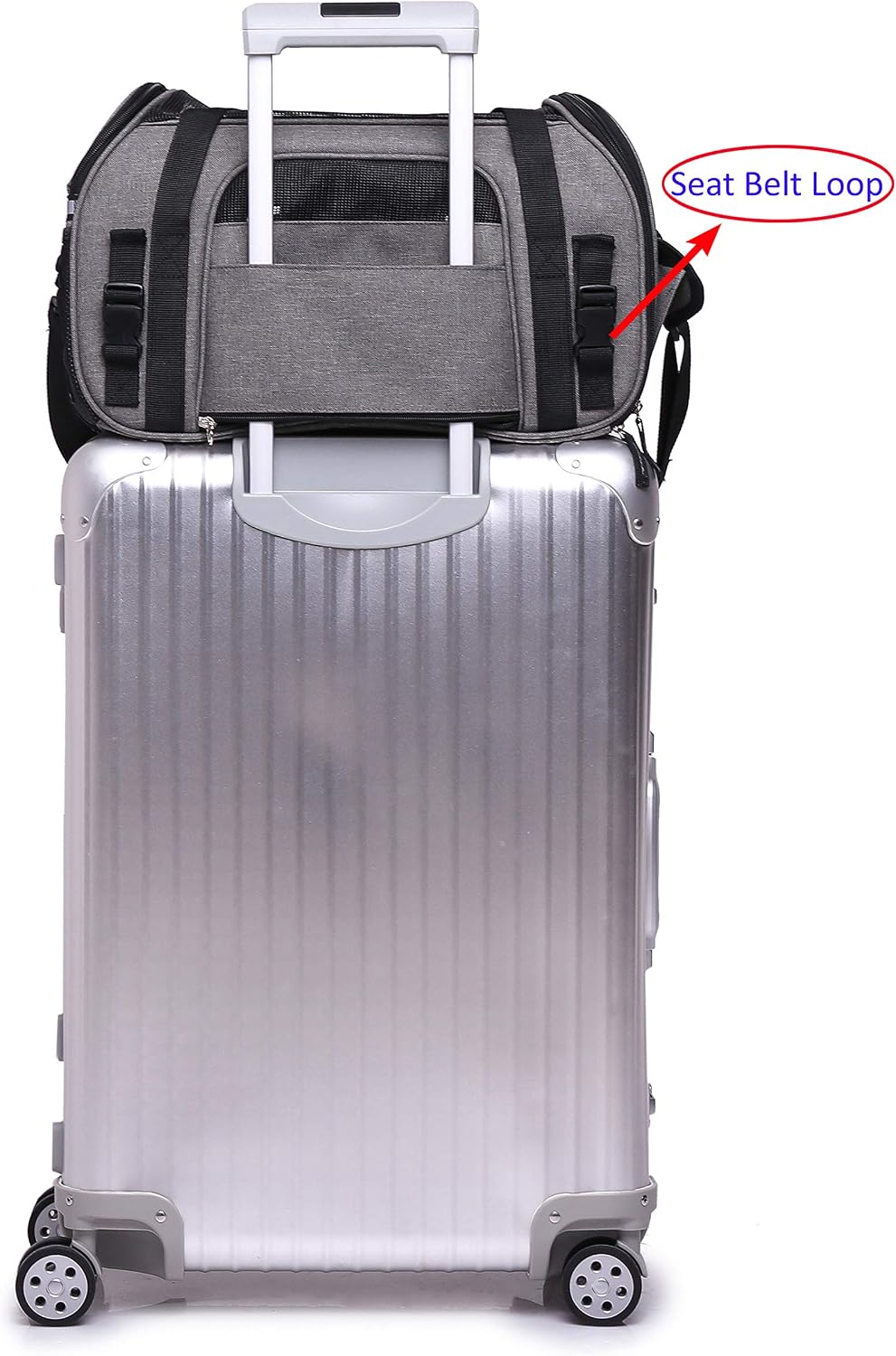 EliteField Soft-Sided Pet Carrier for Cats & Small Dogs – Essentials for Dogs - 21.0"L x 12.0"W x 13.0"H / Charcoal Gray - image 2