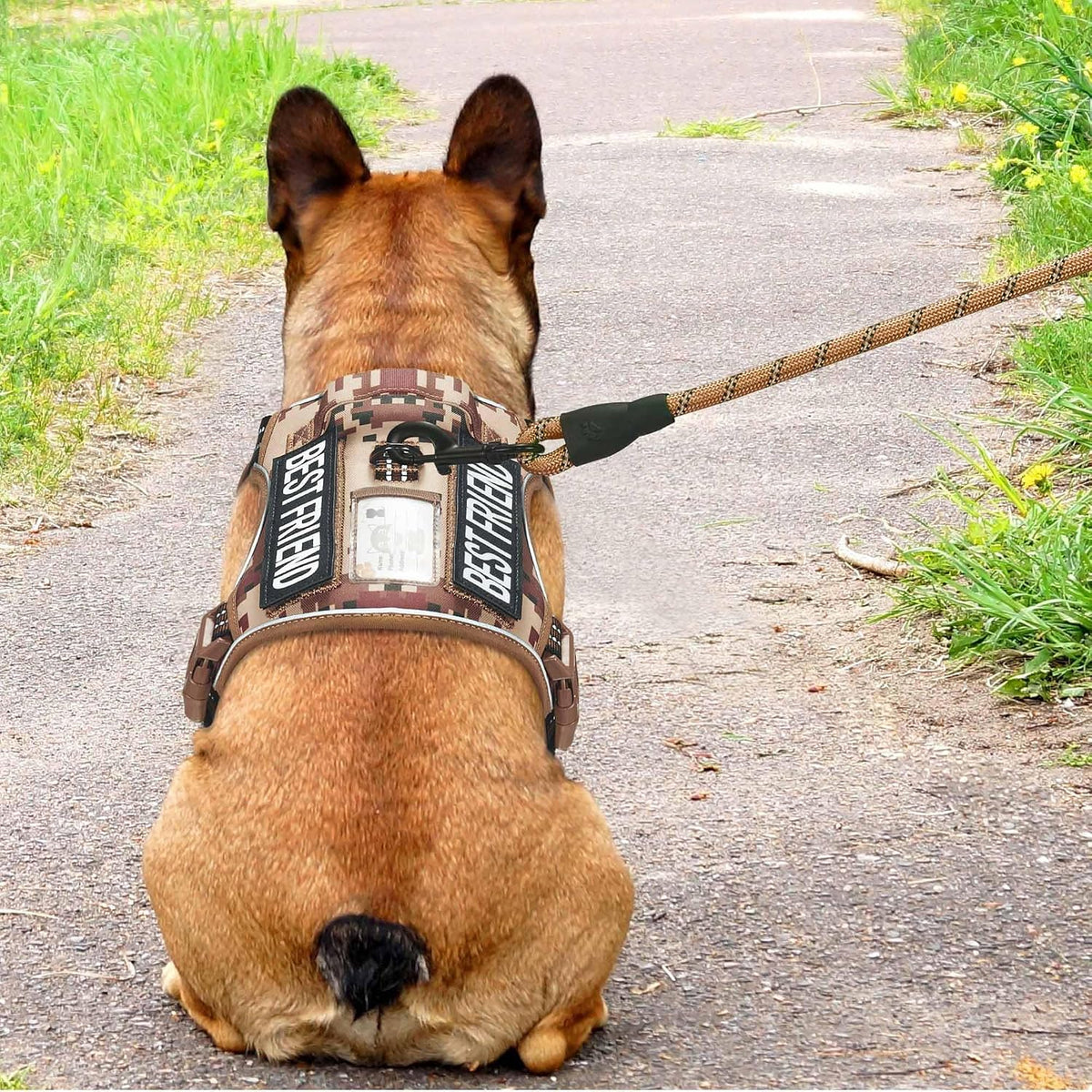 Beebiepet Tactical No Pull Dog Harness with Leash - Desert Camo / Medium - image 3
