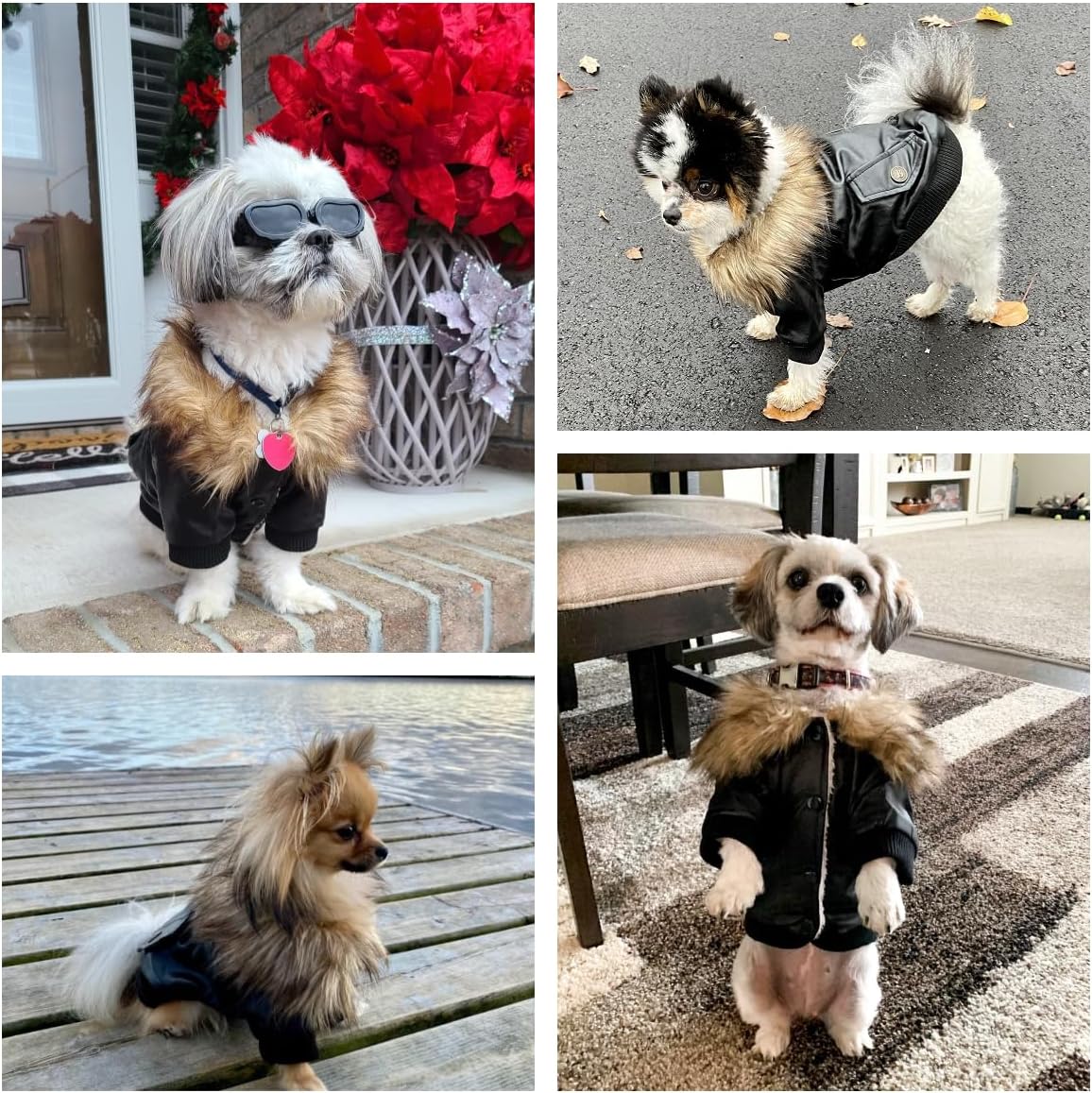 LESYPET Dog Leather Jacket for Small Dogs - Large / Black - image 3