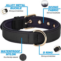 Didog Soft Padded Dog Collars for Small Dogs, Lightweight and Breathable Dog Collar with Metal Buckle, Black, M