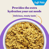 Halo Wet Cat Food Whole Salmon Stew Recipe, Grain Free Wet Cat Pate, Canned Cat Food for Extra Hydration, 5.5 Oz Can (Pack of 12)