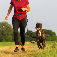 Mile High Life Hands Free Dog Leash - Black Brown / 7FT Hands Free - image 2