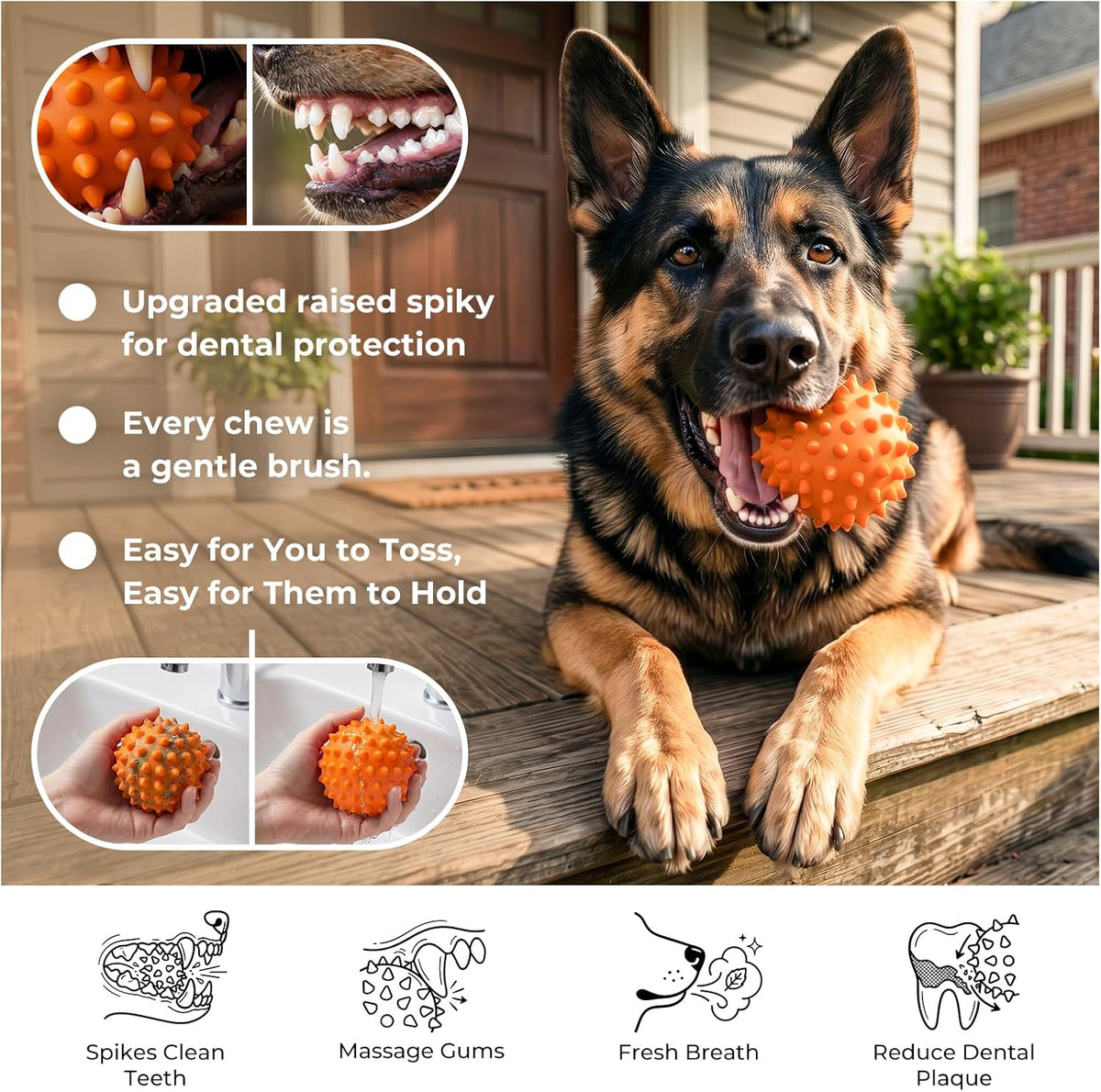 3.5''Durable Squeaky Dog Ball for 25-80lbs Aggressive Chewers – Essentials for Dogs - 2 PC-Peanut Butter-Orange - image 4