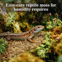Sukh Sphagnum Moss for Reptiles, Green Terrarium Moss Substrate - 3.5 Ounces / Yellow Green - image 4