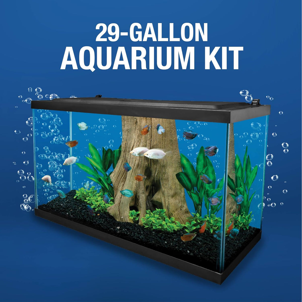 Tetra LED 10 Gallon Complete Fish Tank Kit – Essentials for Fish - 29 Gallons - image 4