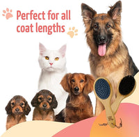 The Buddy System Combo Bristle Pet Brush, 2-in-1 Brush, Durable Rubber Side and Soft Boar Bristle Side - All Pets and Coat Lengths - Top Coat Massage for Cats & Dogs - 1 Pack