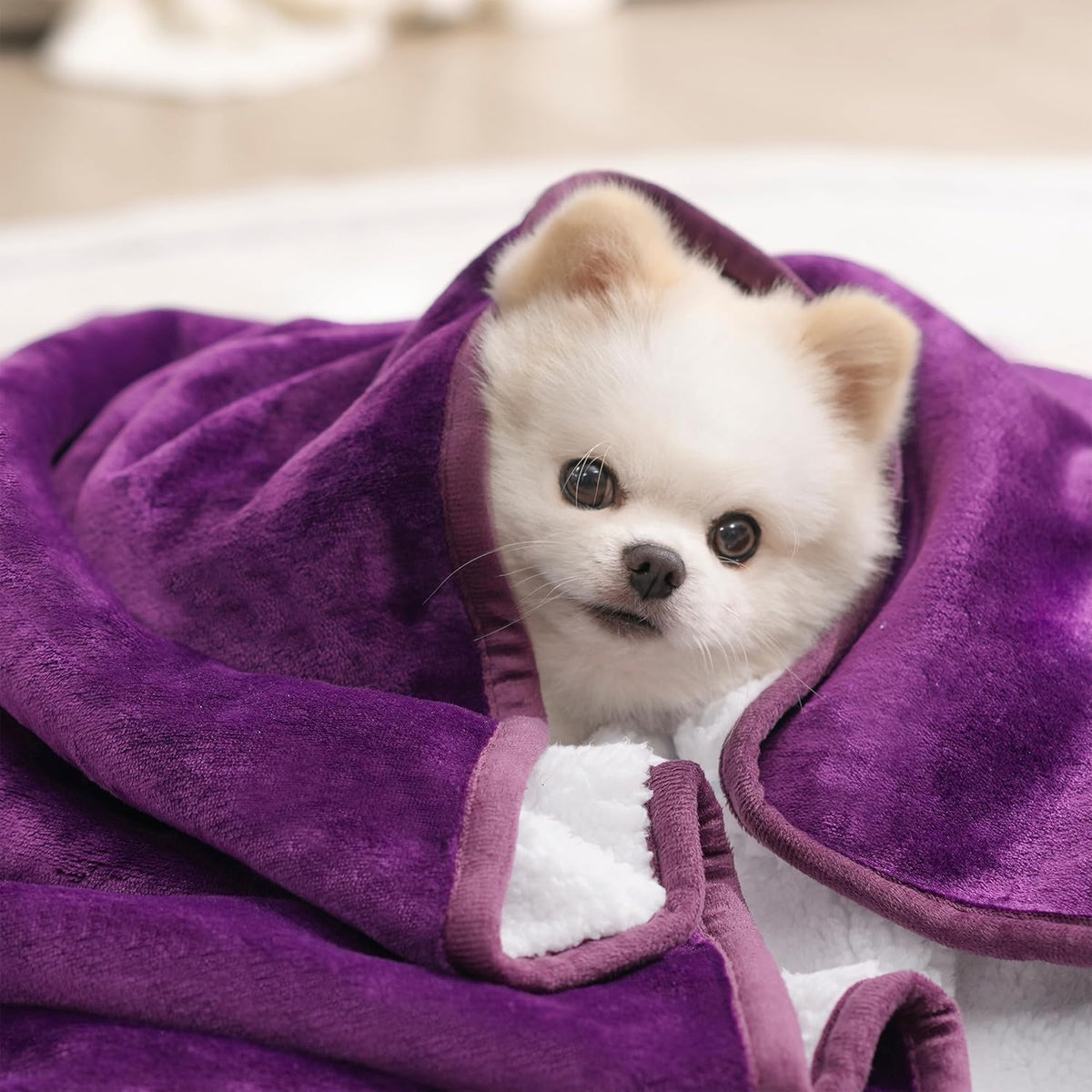 Waterproof Blanket for Bed Couch, Sherpa Fleece Throw, 50x60 – Essentials for Dogs - 30x40 inches / Dark Purple - image 4