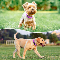 Reflective Dog Collar Padded with Soft Neoprene Breathable Quick Release Basic Dog Collars for Medium Large Dogs Dark Magenta