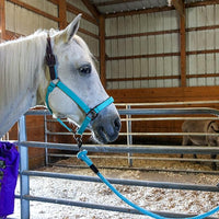 Majestic Ally Leather Halter with Matching Lead Rope for Horses – Leather Breakaway Crown - Adjustable Chin Strap – Rolled Throat Latch – Padded Noseband – Full (Purple, Full)