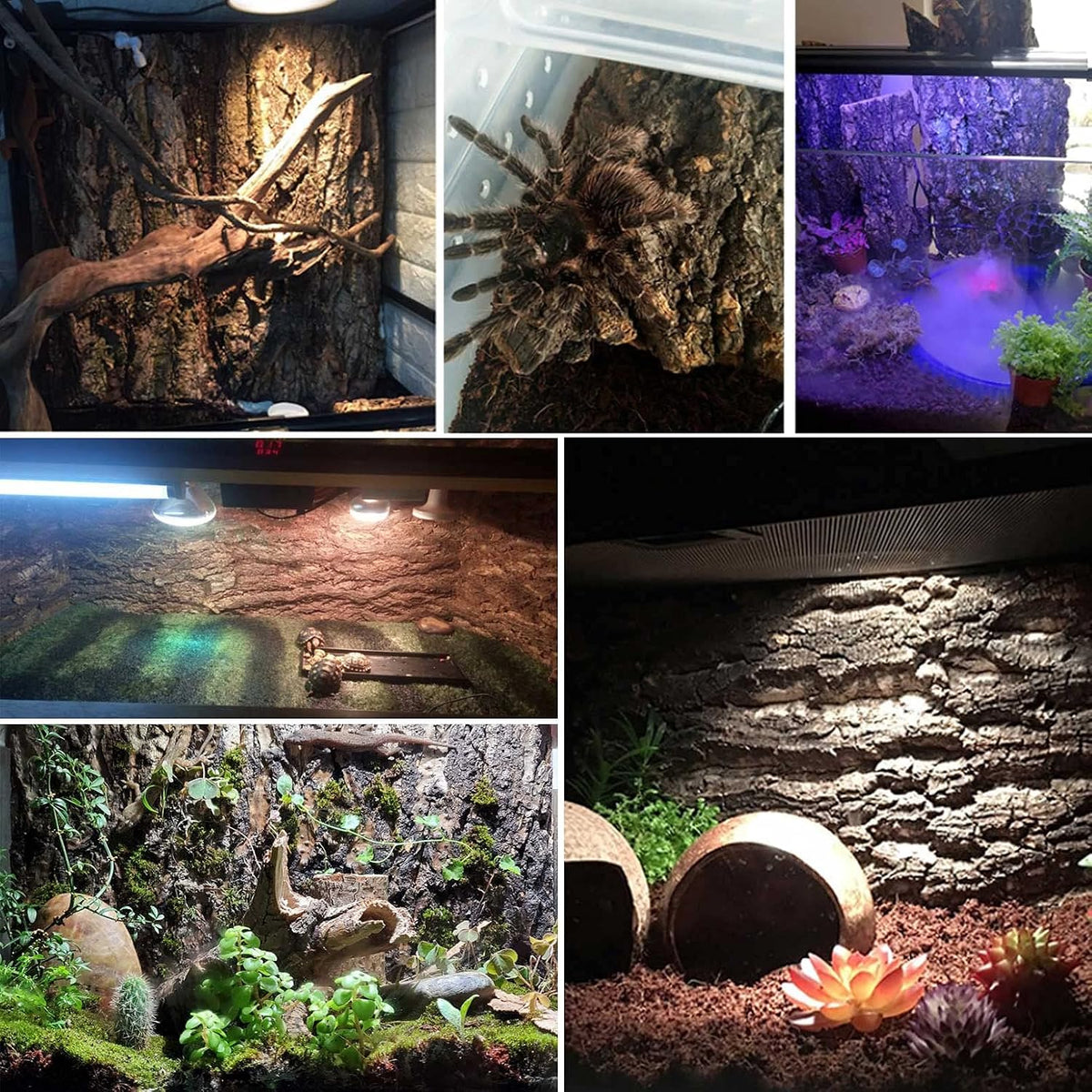 10PCS Cork Tile Background Bark 7.9”Lx7.9”W Reptile Tank Background - 4PCS - 11.8” x 7.9” - image 3