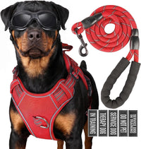 Dog Harness and Leash Set for Large Dogs - Red / M