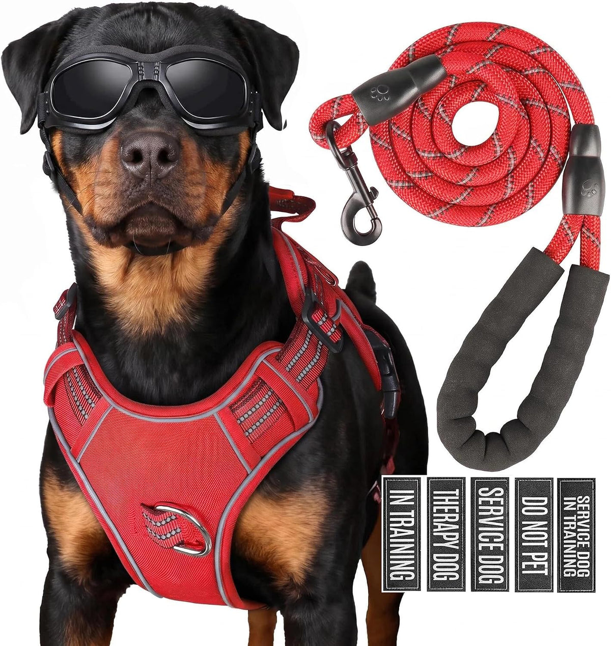 Dog Harness and Leash Set for Large Dogs - Red / M