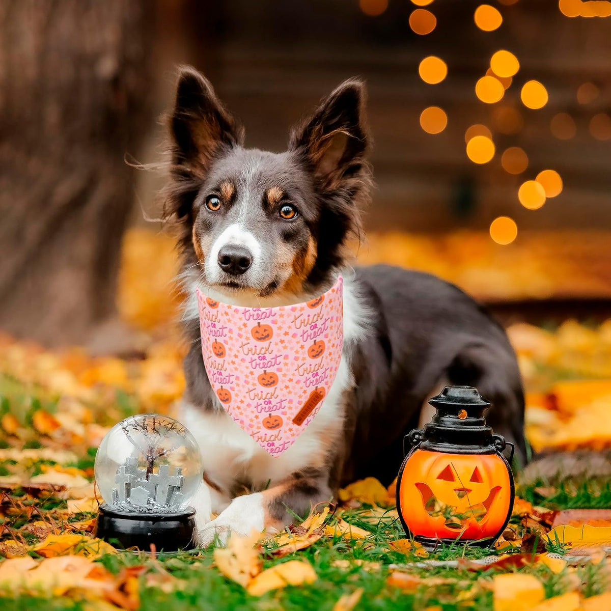 ADOGGYGO Pink Halloween Dog Bandanas Girl - Large / Halloween - image 2