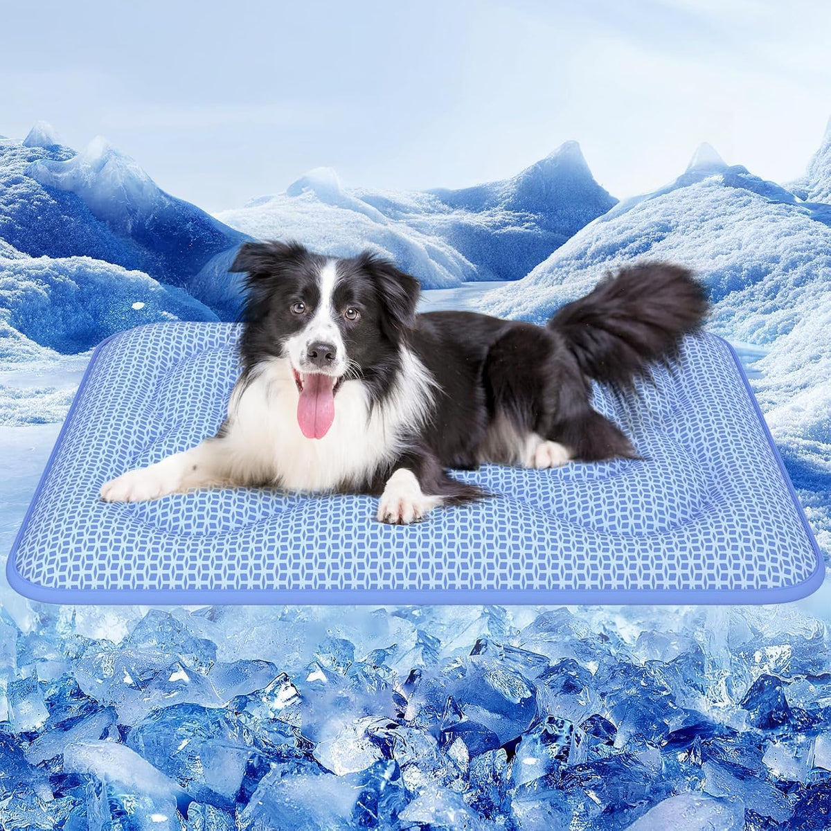 Thickened Cooling Mat for Dogs, Suitable for All Seasons - Blue / XL