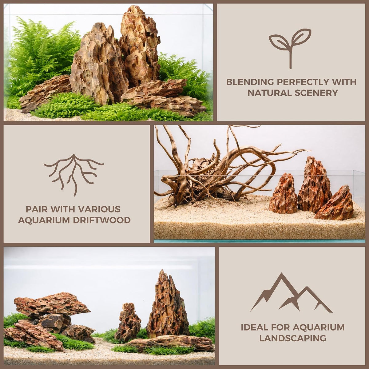 6.1-8.1 Inches Natural Dragon Stone, Terrariums - 6.1-8.1 in - image 4