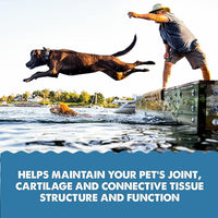 Grizzly Joint Aid for Dogs Liquid Hip and Joint Support (Extra Strength), 32 fl oz